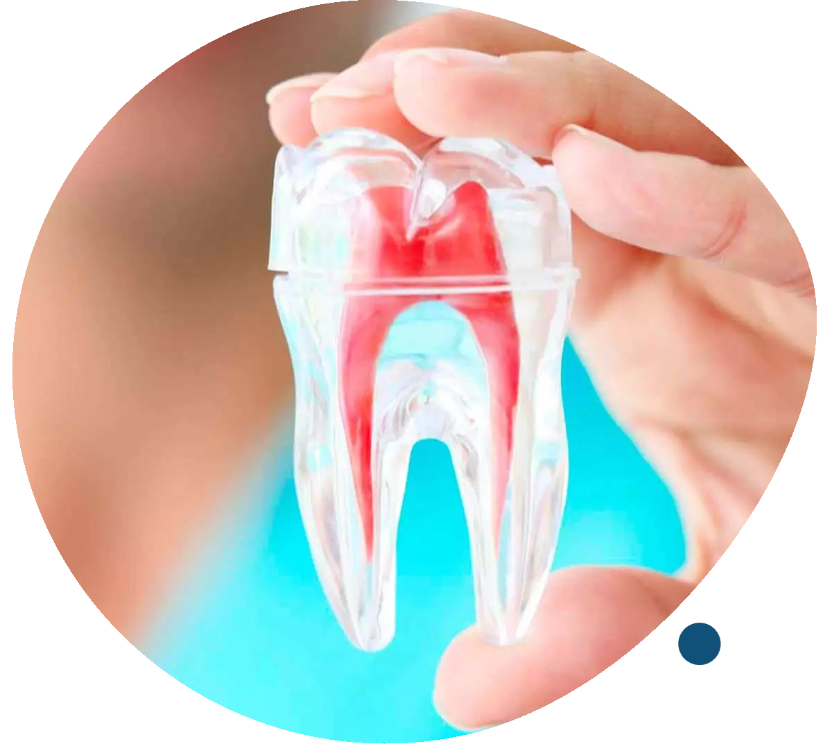 https://ceofloripa.com.br/wp-content/uploads/2021/01/endodontia_.png